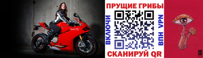 Галлюциногенные грибы ЛСД  где найти наркотики  Талица 